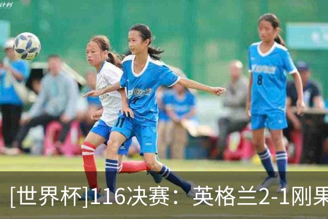 [世界杯]1/16决赛：英格兰2-1刚果（金） 集锦